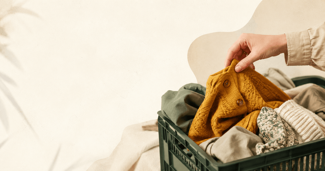 Pawpick Vintage : avis, prix et alternative