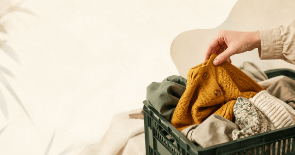 Pawpick Vintage : avis, prix et alternative pour revendeurs Vinted (2026)