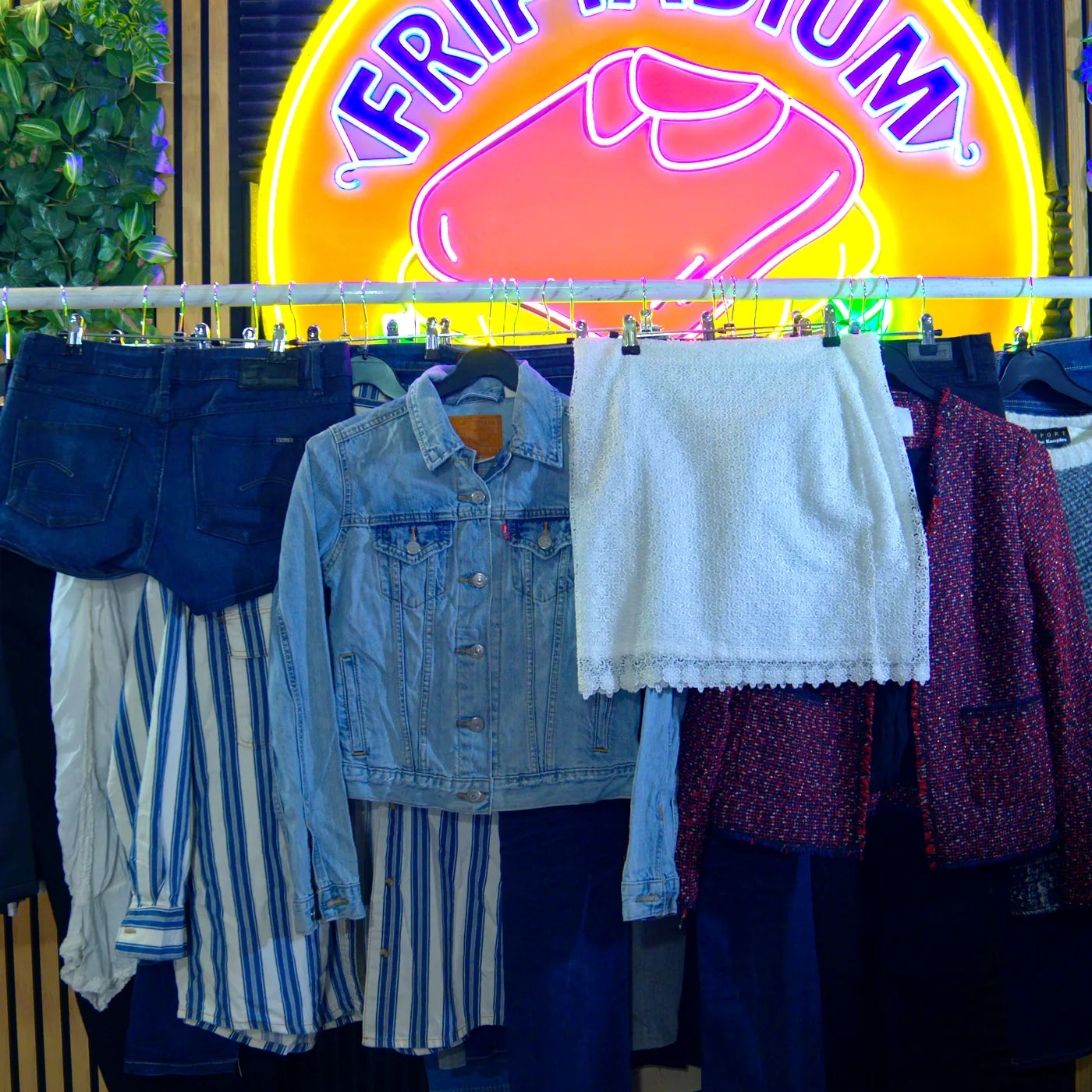 Portant de vêtements femme premium de seconde main au kilo, triés Grade A — Friptadium