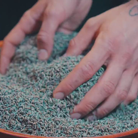 Vidéo du lavandin de Provence en vrac, fleurs séchées 100% naturelles, Friptadium